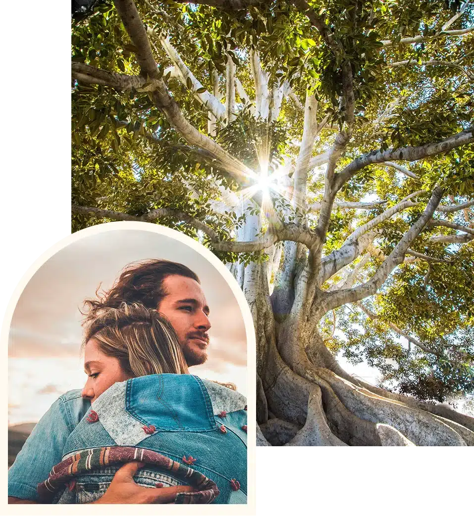 Trans-formative Sessions img